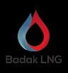 Badak LNG Logo